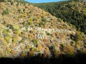 photo coins arrondis